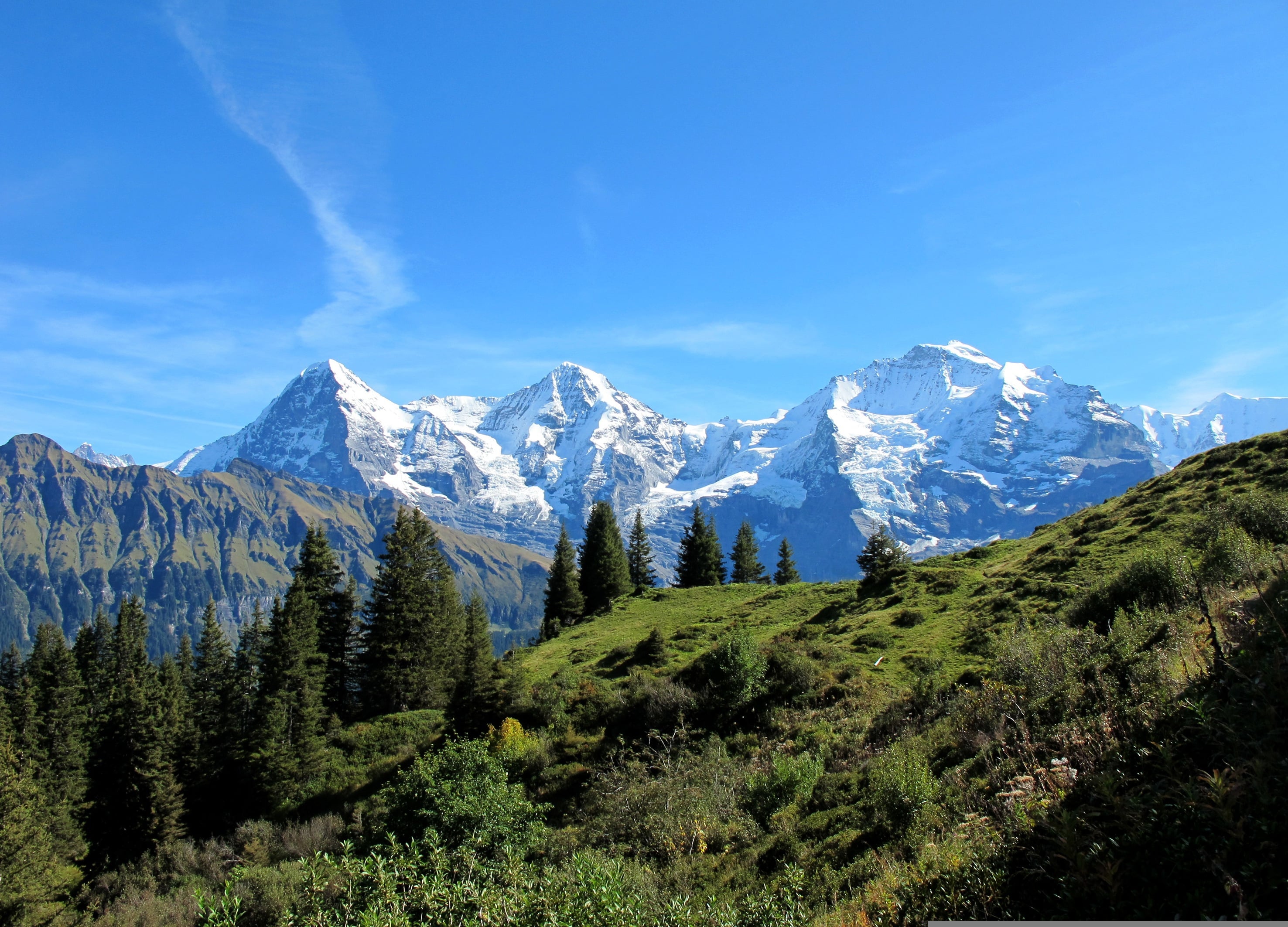 Tour de 7 días por Suiza exclusivo y en privado con salida desde Zurich